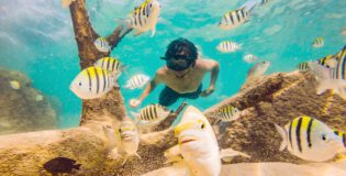 Snorkeling Zanzibar – gdzie warto i co należy zabrać ze sobą