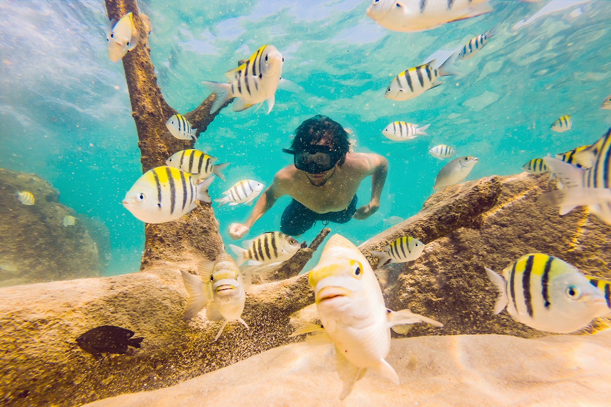 Snorkeling Zanzibar – gdzie warto i co należy zabrać ze sobą