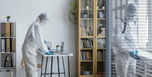 Kiedy i po co wykonać dezynsekcję?